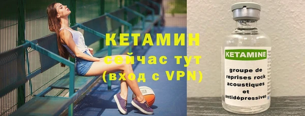 сатива Липки