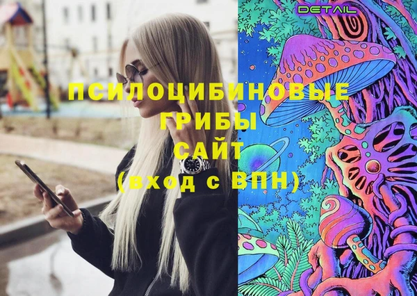 a pvp Абаза