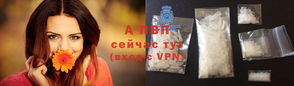 a pvp Абаза