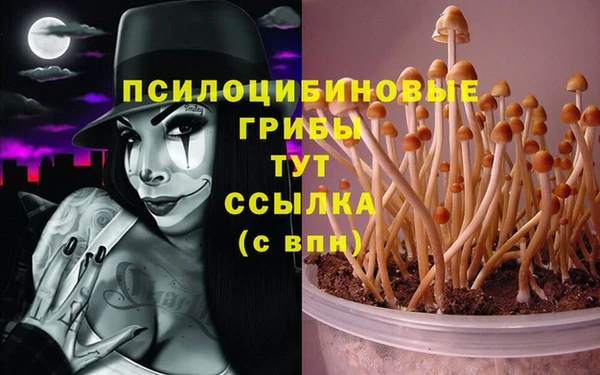хмурый Абдулино