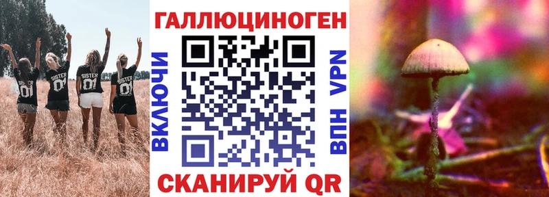 Псилоцибиновые грибы GOLDEN TEACHER  купить наркоту  Эртиль 